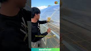 Download lagu Membangun Rumah Kaca? Dia Jago DIY! #bertani #diy #cepat mp3