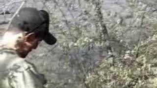 Bigfoot stomps Four Corners, trackers say