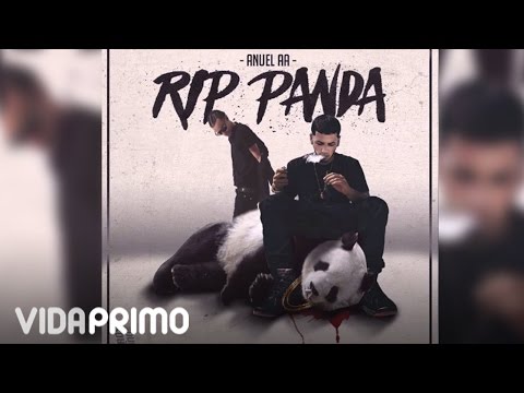 Miniatura de RIP Panda