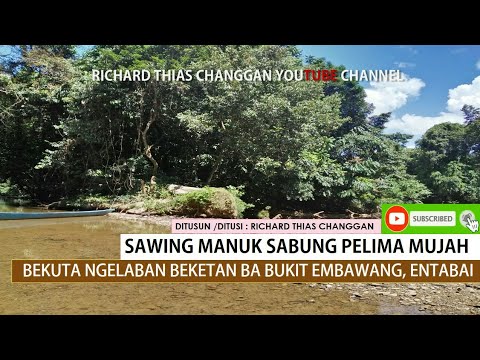 JERITA TUAI Sawing bekota ngelaban Beketan ba Bukit Embawang, Entabai