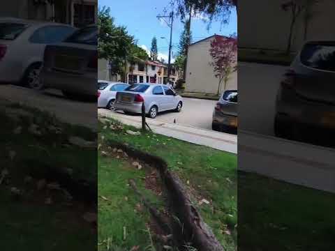Pesca urbana en Rio Negro Antioquia