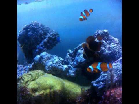 BRUCE Y HAPER - NEMO
