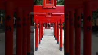 お稲荷さんの鳥居⛩をくぐり抜け（住吉神社in博多）#Shorts