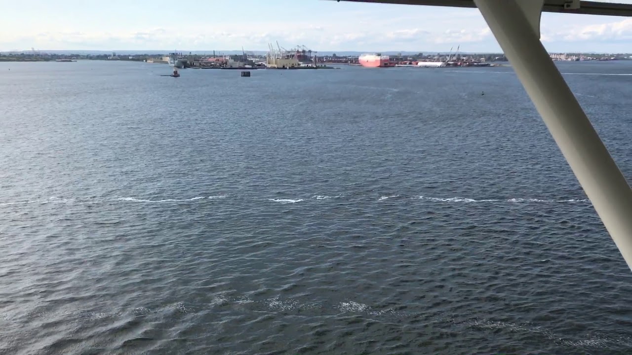 Anthem of the Seas - Cabin 13668 - Video 1