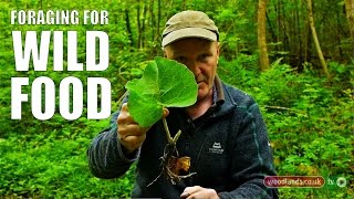 Foraging for Wild Food
