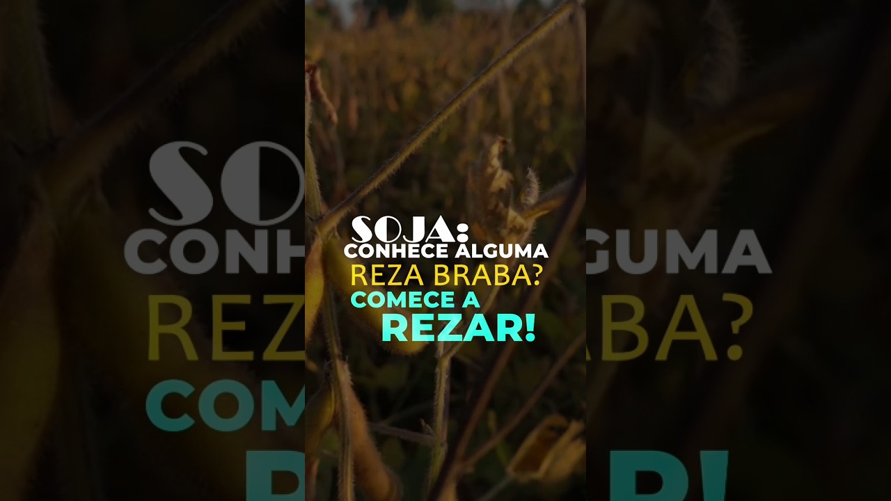 SOJA: CONHECE ALGUMA REZA BRABA? COMECE A REZAR!