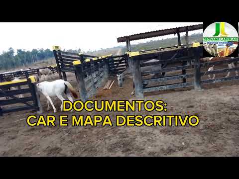 FAZENDA NO MUNICÍPIO DE ANAPÚ-PARÁ