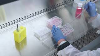EpiAirway™ (AIR-100) Kit Unpackaging and Tissue Equilibration