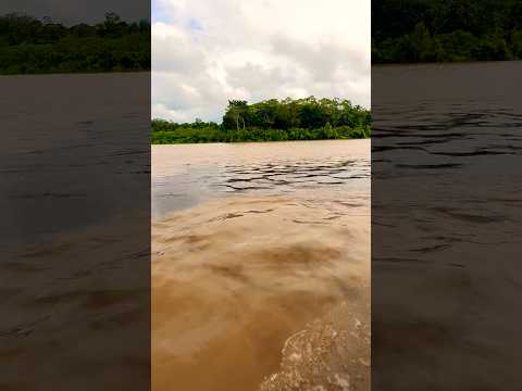 24 de abril de 2026 #borba #amazonas