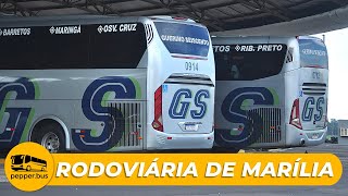 MOVIMENTO NA RODOVIÁRIA DE MÁRILIA!