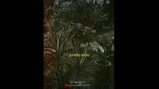 Download lagu Ader Negro Kari Sukete (Bagus Kurniawan) mp3 Download lagu Ader Negro Kari Sukete (Bagus Kurniawan) mp3