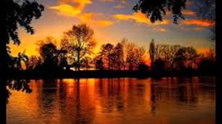 JUANJO CARRETERO.PAJARO SIN NIDO