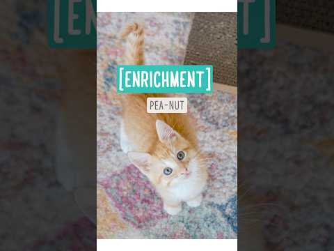 Enrichment During Quarantine