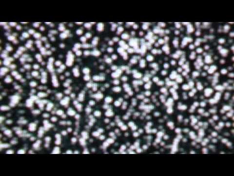 Myrornas krig 7 ‎februari ‎2015 kl ‏‎09 18