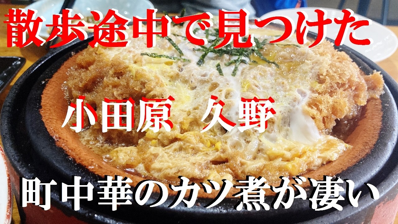 NEW 小田原ぶらり旅★散歩途中に入った町中華のメニューの多さとウマさに感動【ゆぅーゆぅ亭 】【日高屋】