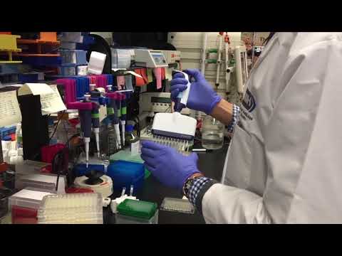 Essex County Vaccination Center