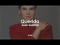Juan Gabriel - Querida (Letra / Lyrics)