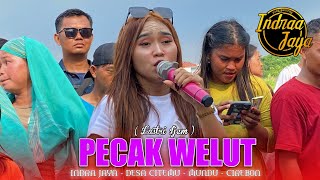 Download lagu PECAK WELUT | VOC. LASTRI IJEM - INDRA JAYA ‼️DESA CITEMU MUNDU CIREBON 2025 GANG SEMBOJA mp3