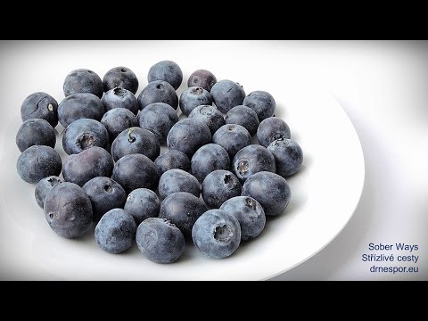 Borůvky jako potravina a léčivá rostlina