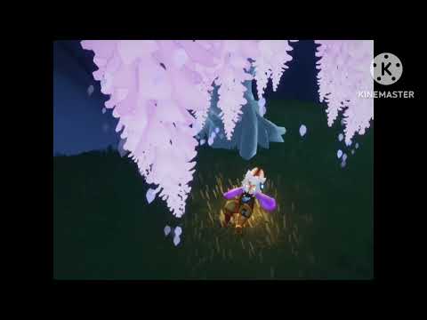 Immortal Blossom Days of Bloom 2023 AMV