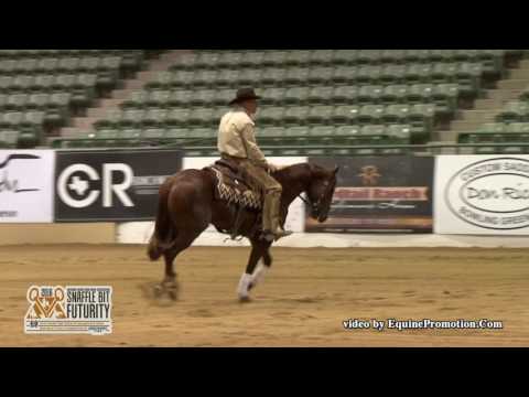 ThisCatsAMasterPiece ridden by Brandon Buttars  - 2016 NRCHA Snaffle Bit Futurity (Rein-Prelims)