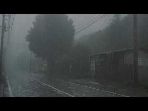 Deep Sleep Rain 🌧️ Gentle Rainfall White Noise | Relaxing Night Rain for Insomnia