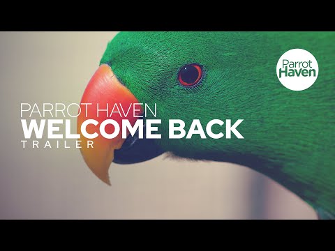 Parrot Haven Welcome Back Trailer
