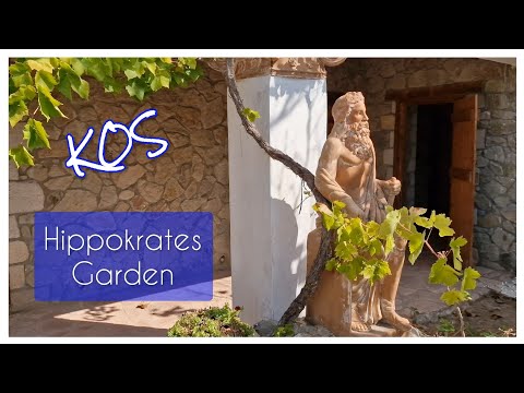 🇬🇷 KOS 🇬🇷 Ausflugstipp: Hippokrates Garden