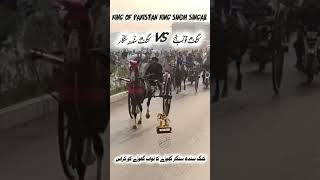 Download lagu King Sindh Singar Vs Nawab Horse Race || #horse #viral #trending mp3