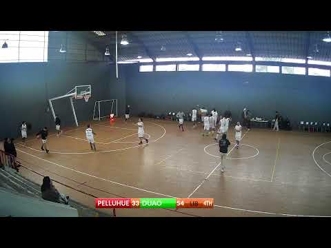 PELLUHUE VS DUAO