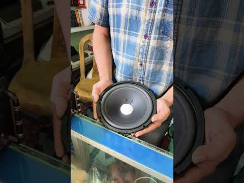 8 inch 40 watt woofer #soundtest #shortvideo #srikrishnaelectronics #viralvideo