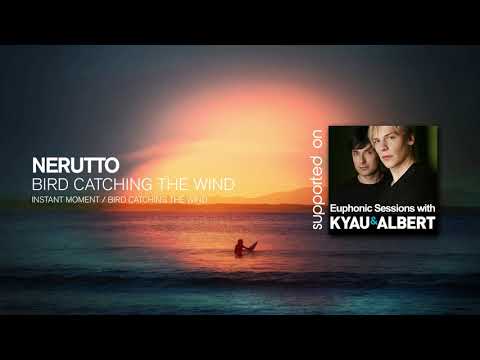 Nerutto - Bird Catching A Wind [Progressive House]