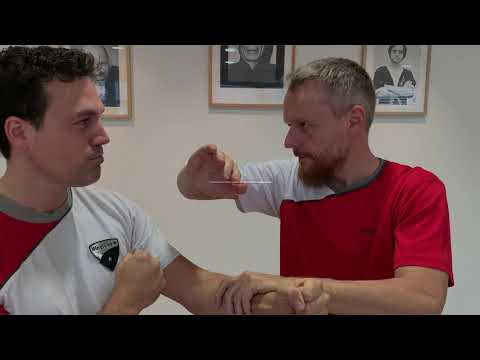 EWTO Norderstedt Online Learning - Blitze 1 und 2 zur Erinnerung und in kurzen Schnipseln.