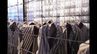 I WENT TO AUSCHWITZ || ACTUAL FOOTAGE FROM THE CAMP || WANDER WITH ME