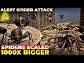 What If Spiders Were Scaled 1000 Times Bigger Imaginary Comparison Spiders 3D