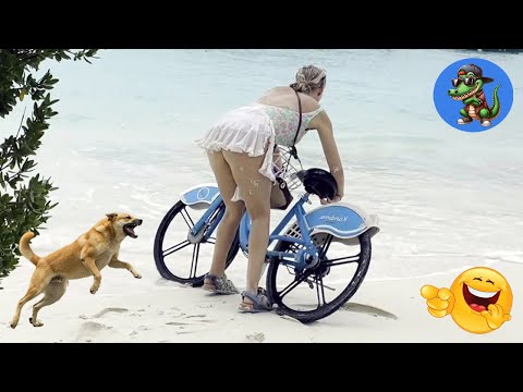 TRY NOT TO LAUGH!!! 🤣🤣🤣 #28