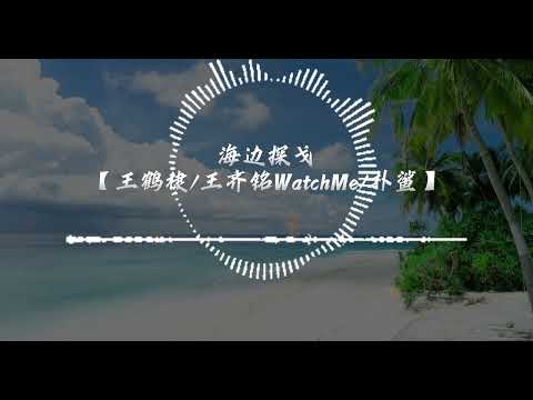 海边探戈 - 王鹤棣 x 王齐铭WatchMe x 朴鲨 【月光下跳舞 輕盈的腳步 Baby, I love you, baby, I love】动态歌词