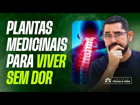 3 Melhores PLANTAS MEDICINAIS para Viver Sem Dor