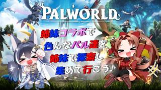 【 Steam版 】パルワールド #１ #姉妹コラボ  #スパチャ禁止『姉妹２人で、パルの世界を駆け回って冒険するぞぉ~♪ヾ(≧▽≦)ﾉ』