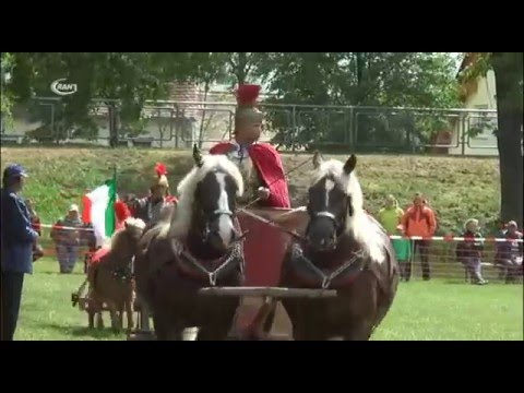 Pfingstreiten Mildensee -  RAN1