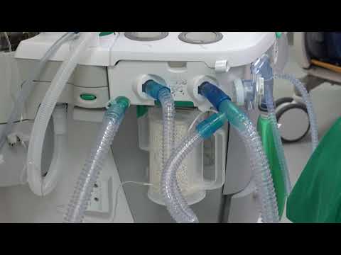 Pistoia: la pandemia non ha bloccato la donazione di organi