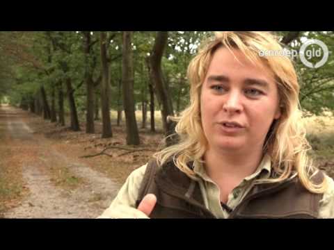 GLD VANDAAG 24 oktober 2016