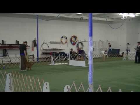 10-13-13 Vito Toller CDSP Open C