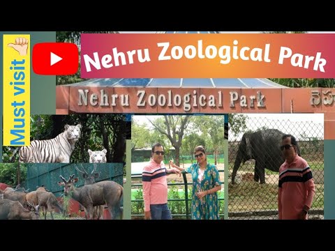 Nehru Zoological Park Hyderabad Full Tour 2025 Part - 1🐅 | Zoo Timings, Ticket Price & Animals