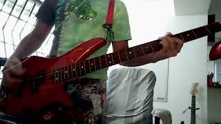 Tell Me Lies - Swingin Utters (Bass Cover)