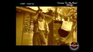 Dillinger Cocaine in my brain