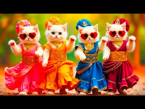 Cat dance | Cat videos | funny cat dance 😆💃| Videos for cats billi dance #funny#dancingcat #cat