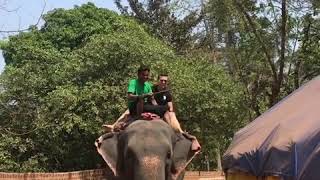 Elephant Ride in Goa at Spice Plantation