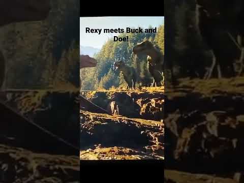 Rexy Meets Buck and Doe!