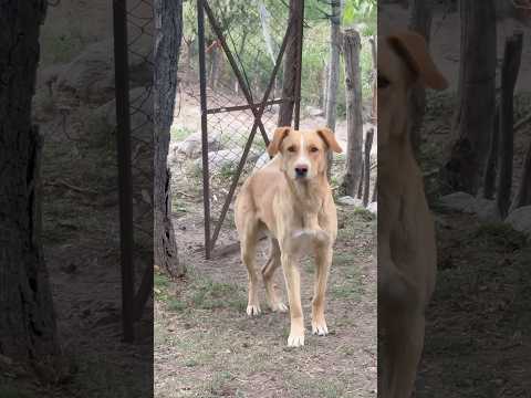 Despertando en MUTQUIN.. Catamarca.